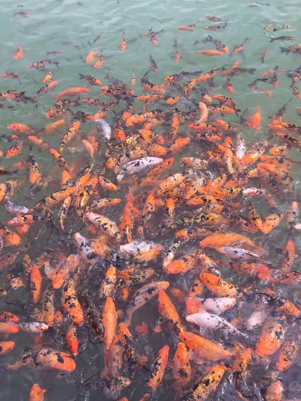 新闻稿IMG_6080.JPG