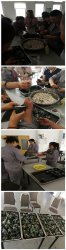 其乐“隆隆”过端午——端午节活动报道