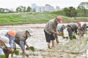 摸清生态国情 守护绿水青山