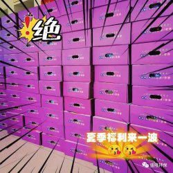 员工福利 | 炎炎夏日送清凉 公司关怀入人心
